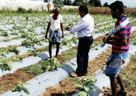Field visit